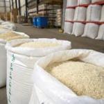 Brazilian Rice – Superior Quality for Global Export