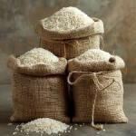Brazilian Rice – Superior Quality for Global Export