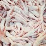 Brazilian Chicken Feet – Premium Quality for Global Export