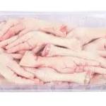 Brazilian Chicken Feet – Premium Quality for Global Export