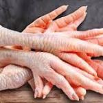 Brazilian Chicken Feet – Premium Quality for Global Export