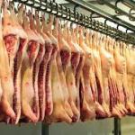 Brazilian Pork Meat – Premium Quality for International Markets